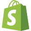 Shopify Website